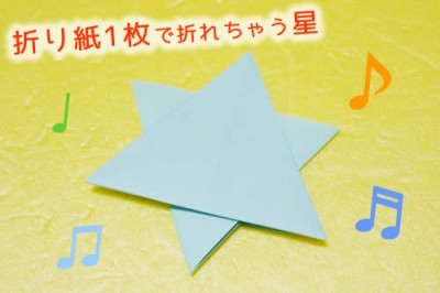 折り方①の星 完成図